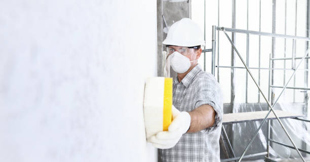 Best Mold Prevention Services  in White Oak, MS