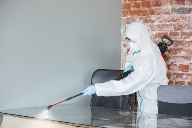 Forensic Mold Investigation in White Oak, MS