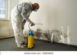 Best Residential Mold Inspection & Testing  in White Oak, MS